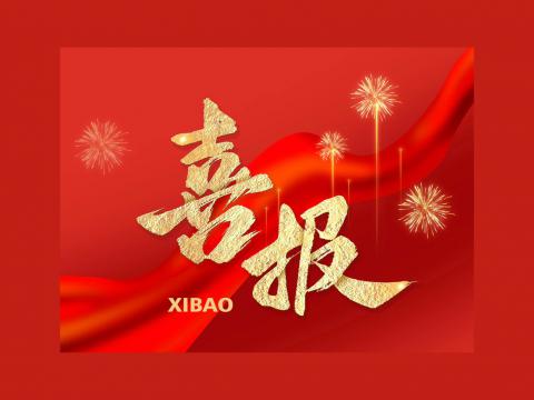 斩获北美订单｜PP电子电气正式打通北美高端市场通道