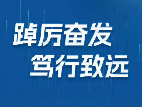 一图读懂PP电子电气2024年半年报