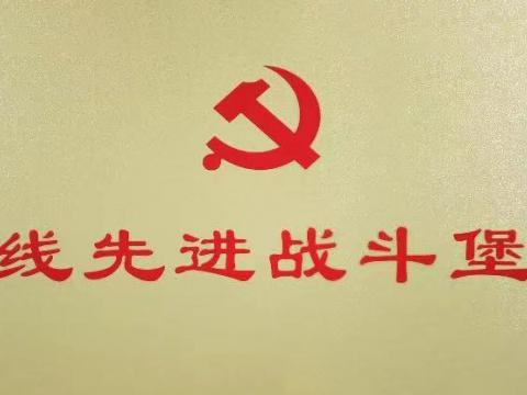 PP电子电气集团行政党支部荣获“扬中市一线先进战斗堡垒”