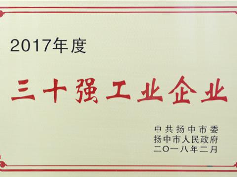 PP电子集团晋升2017年度扬中市“三十强”前五位